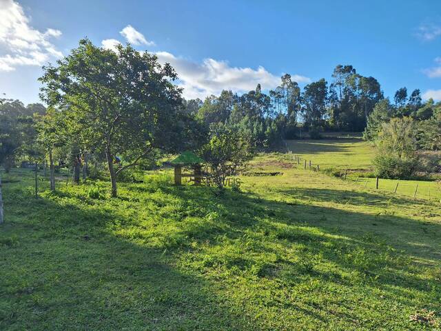 #PVM009 - Sítio para Venda em Viamão - RS - 1