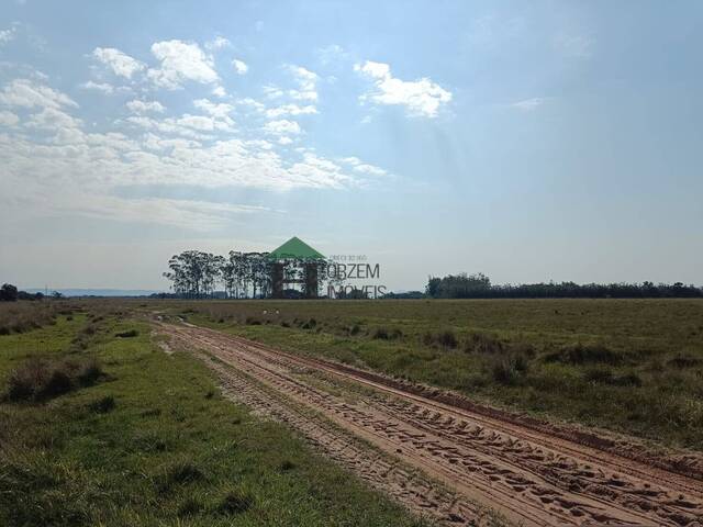 #FZD001 - Fazenda para Venda em Viamão - RS - 1