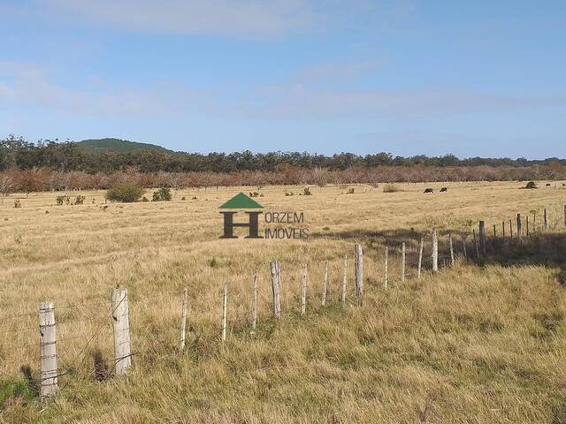 #FZD002 - Fazenda para Venda em Viamão - RS - 1