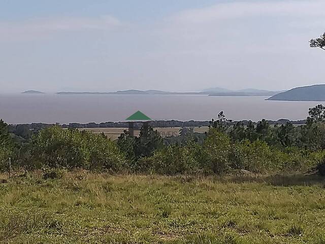 #FZD002 - Fazenda para Venda em Viamão - RS - 3