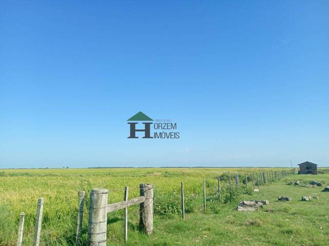 #FZD003 - Fazenda para Venda em Arambaré - RS - 3