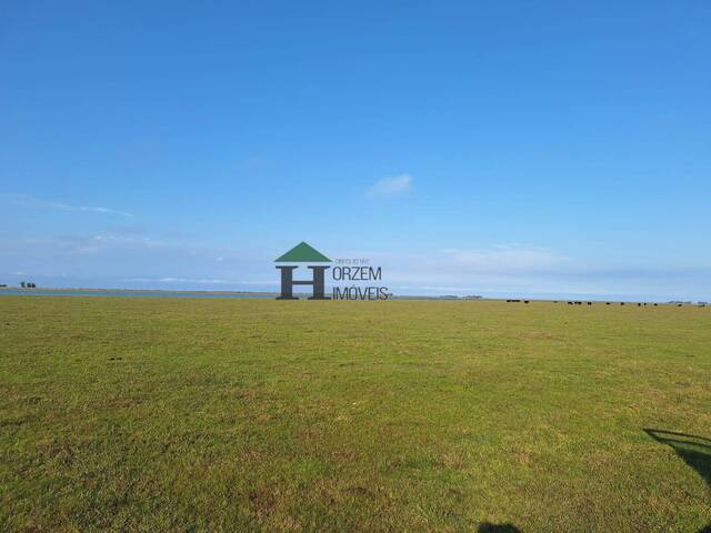 #FZD004 - Fazenda para Venda em Viamão - RS - 1