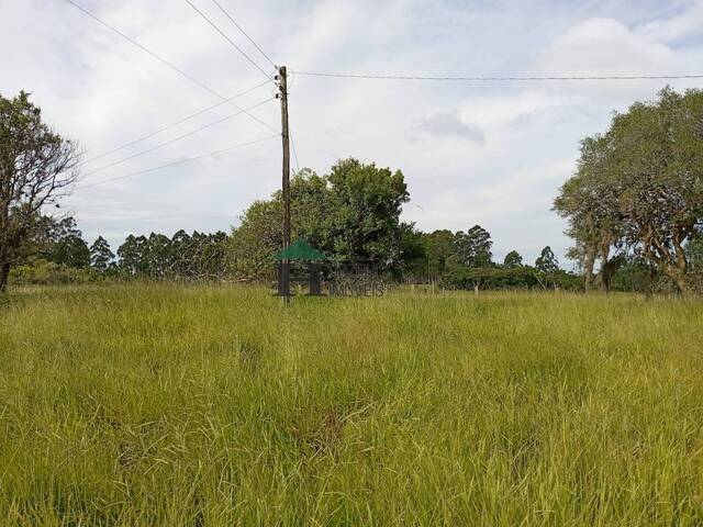 #PVM045 - Sítio para Venda em Viamão - RS - 1