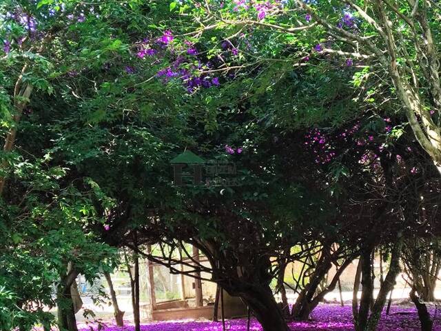 #ACL048 - Sítio para Venda em Viamão - RS - 3