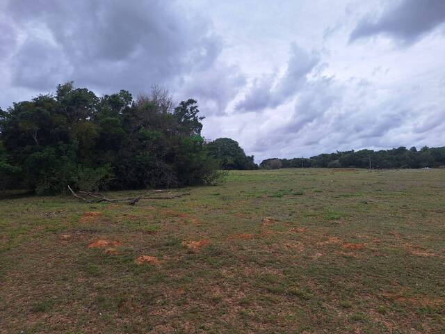 #EST001 - Sítio para Venda em Viamão - RS