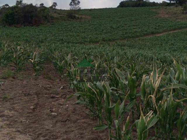 #FZD006 - Fazenda para Venda em Dom Feliciano - RS