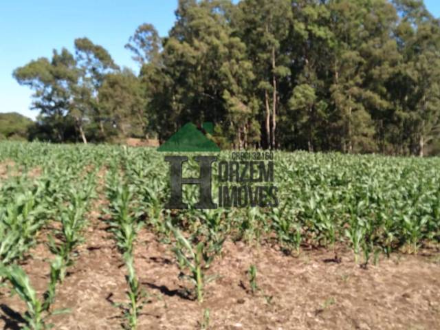 #FZD006 - Fazenda para Venda em Dom Feliciano - RS