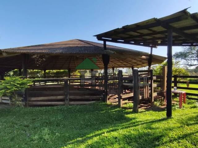 #PVM059 - Haras para Venda em Porto Alegre - RS - 3