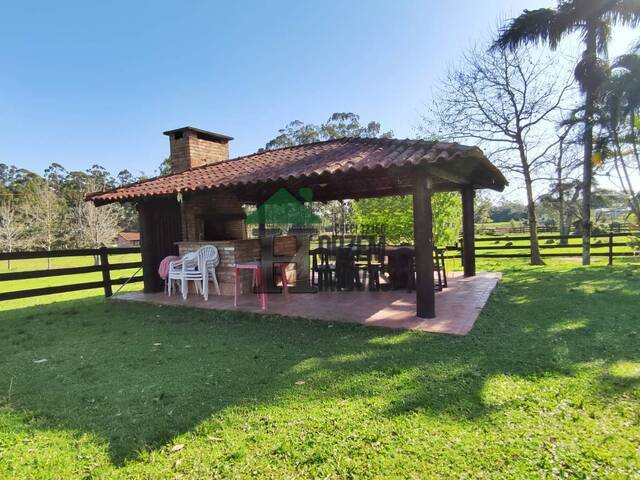 Haras para Venda em Porto Alegre - 5