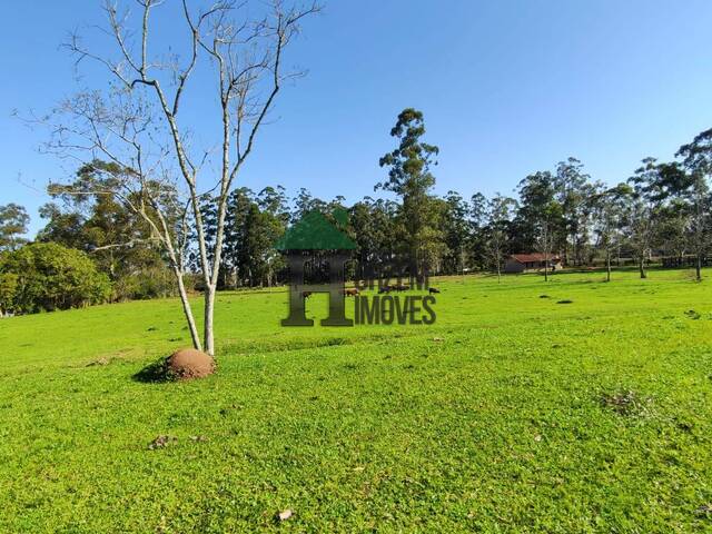 Haras para Venda em Porto Alegre - 4