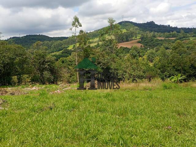 #GRV001 - Chácara para Venda em Gravataí - RS - 3