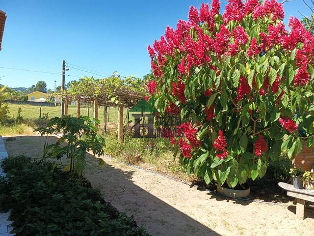 #SCT001 - Sítio para Venda em Pescaria Brava - SC - 3